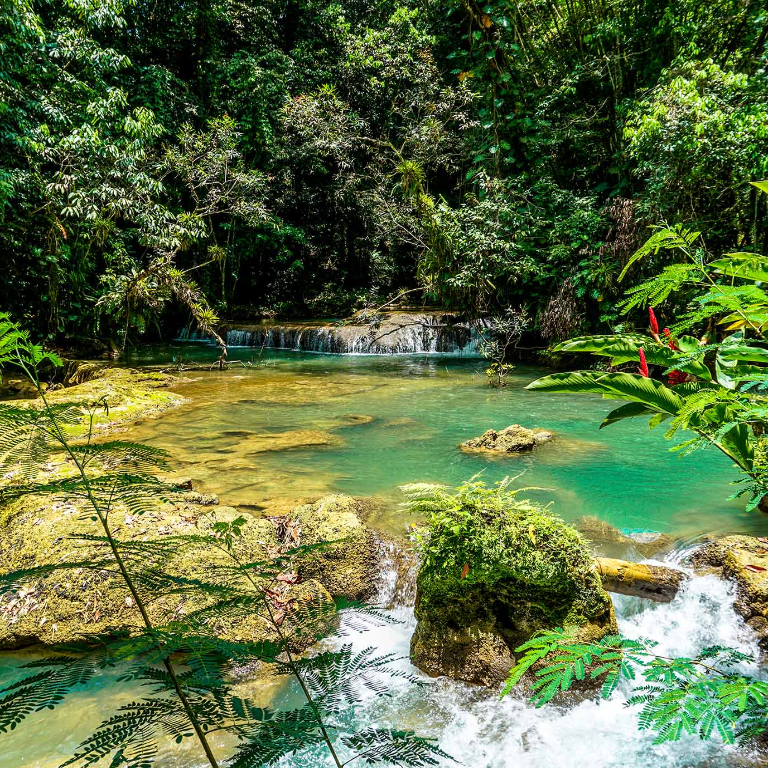 YS Falls Tour South Coast