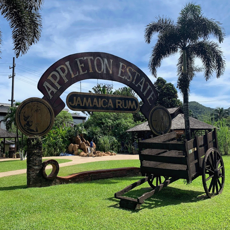 Appleton Estate Rum Factory Tour South Coast