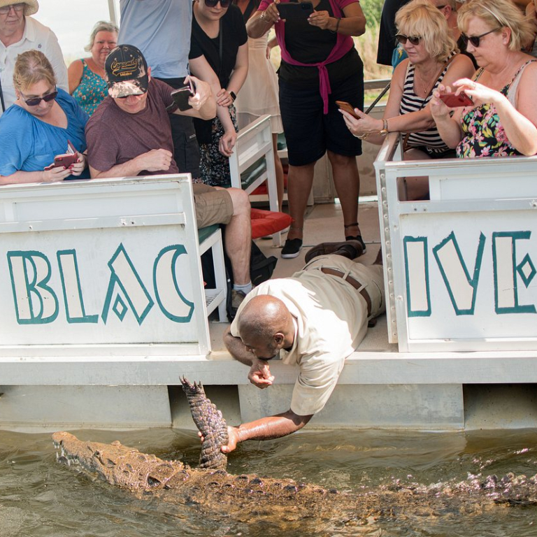 Black River Safari Tour South Coast
